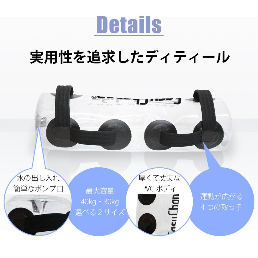 体幹トレーニング ウォターバッグ EasyChange イージーチェンジ