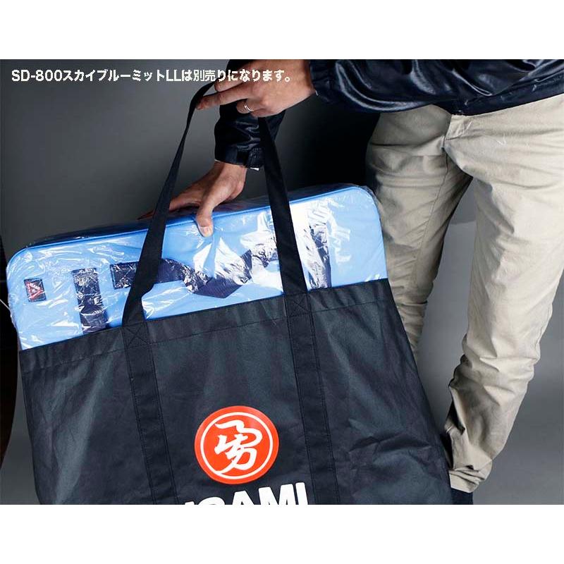 ISAMI ボクシング パウンドグローブ S / 収納バッグ付き ISAMI ボクシング パウンドグローブ S / 収納バッグ付き 楽天