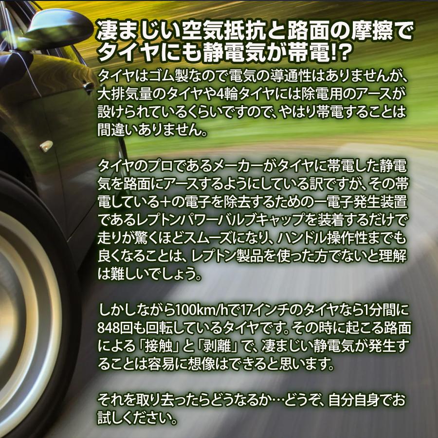 燃費向上グッズ レプトンパワーリアクター 車 静電気 除去 車 パワー アップ 車 アーシング サルフェーション バッテリー｜road-r｜08