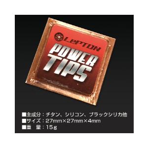 時間指定不可レプトンパワーチップス２個セット 燃費 向上 アップ