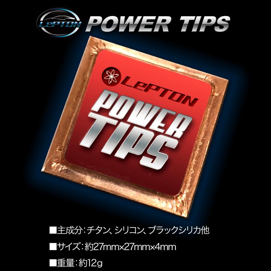 燃費向上グッズ レプトンパワーチップス2個セット 車 パワー 燃費向上グッズ レプトンパワーチップス2個セット 車 パワー