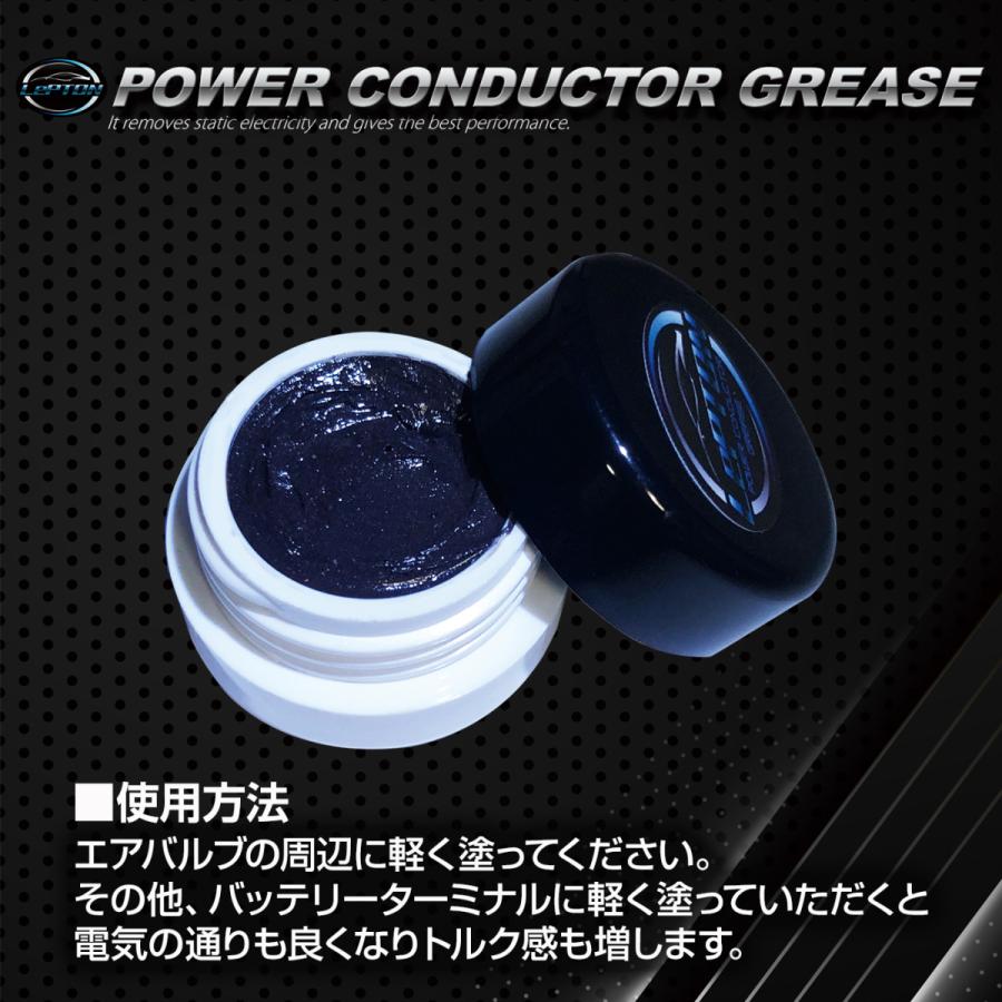 New!レプトンパワーコンダクターグリース５グラム 燃費向上 パワー