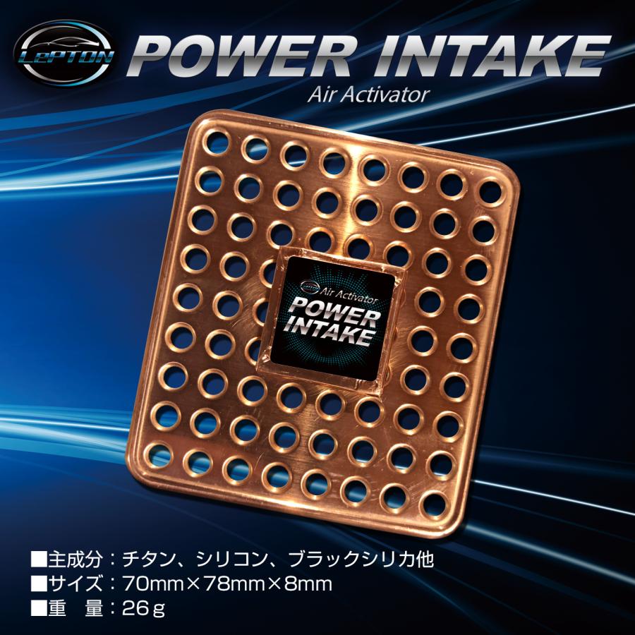 お手軽トルクアップ【吸気系チューン】イオンパワー 燃費向上グッズ レプトンパワーインテーク（エアクリーナー) 車 トルク