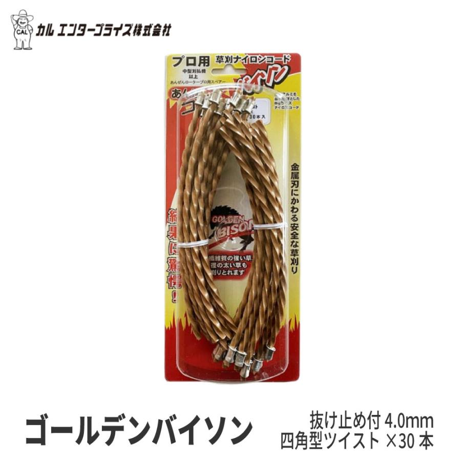 【人気商品】カルエンター 安全ロータープロカッター 3.5MM三角ツイスト×6本 楽天市場】カルエンタープライズ 安全ローター プロ（ゴールデン