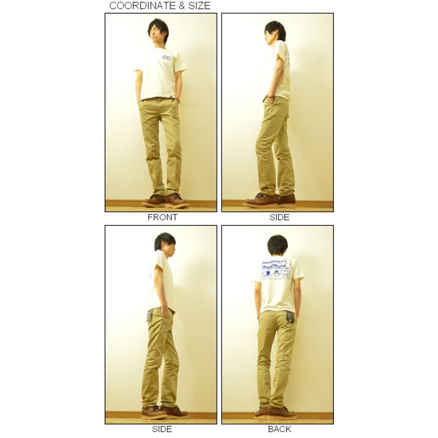 STUDIO D'ARTISAN（ステュディオダルチザン） FLASHER 半袖 Tシャツ メンズ プリント アメカジ フロッキー フラッシャー 2ピッグマーク 豚 ブタ 9754 | STUDIO D'ARTISAN | 01