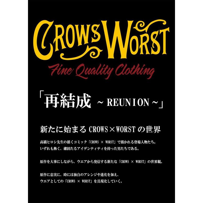 CROWS×WORST クローズ×ワースト P.A.D 刺繍 プリント カスタム 半袖 T
