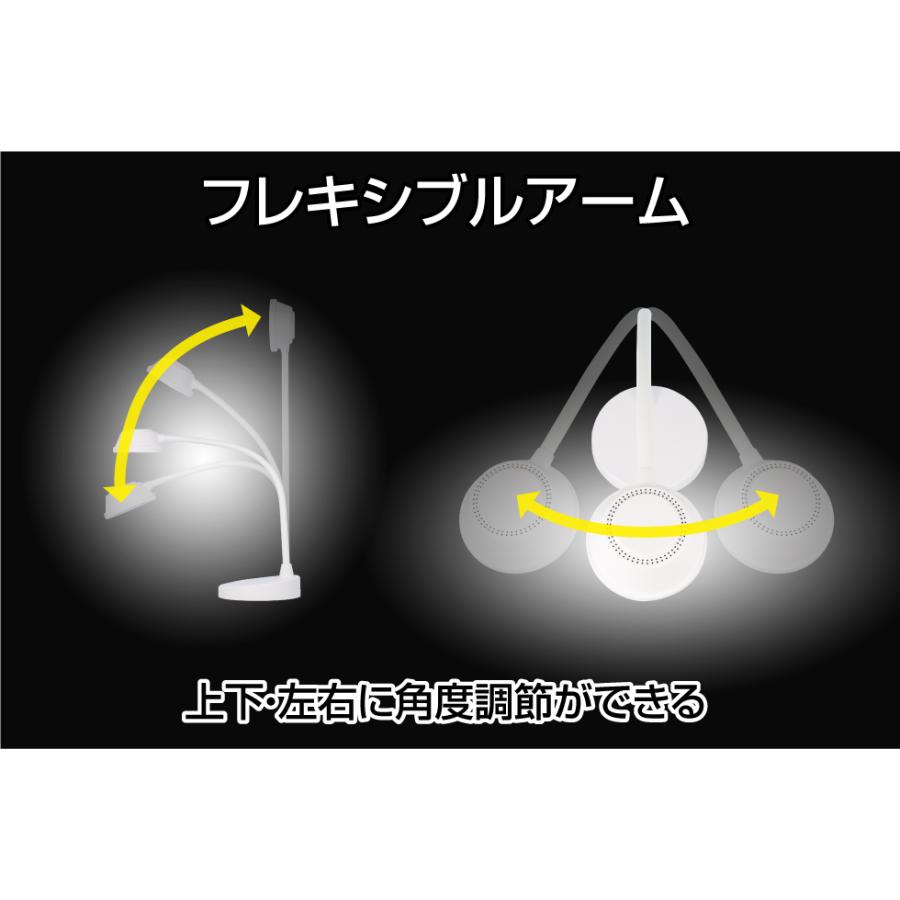 ルーガス Lugus SDX 低周波 中周波 プロ用美顔器ルーガス純チタンヘッド ルーガス Lugus SDX 低周波 中周波 プロ用美顔器ルーガス純チタン