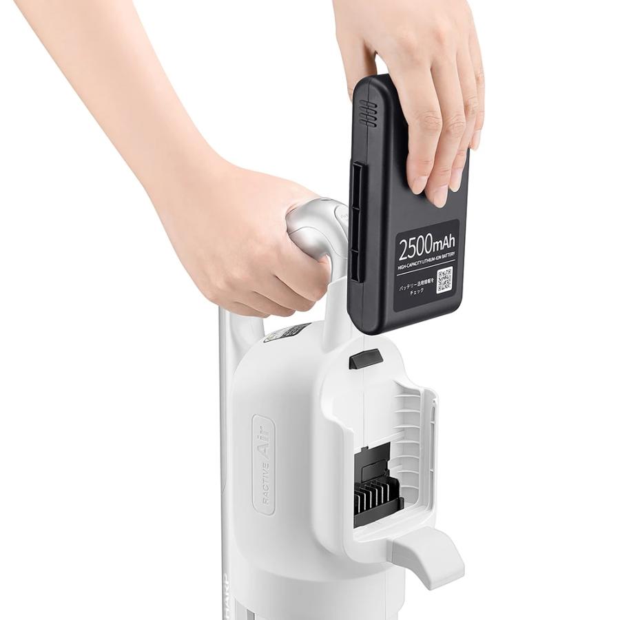 SHARP（シャープ） RACTIVE Air ラクティブエア EC-SR10-B ブラック系