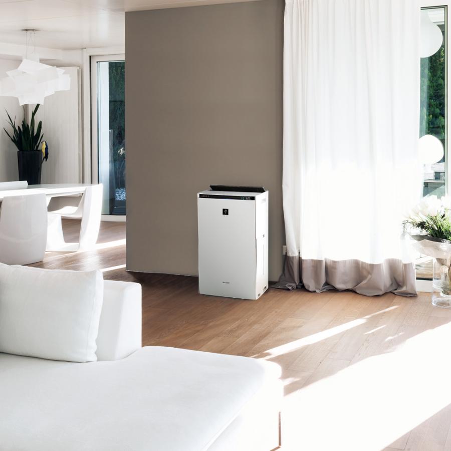 プラズマクラスター シャープ 加湿 空気清浄機 KI-RX100-W NEXT(50000