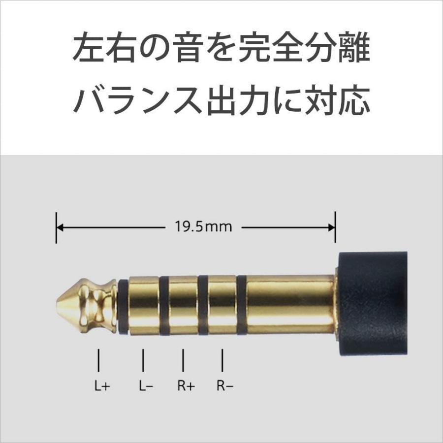 SONY（ソニー） ハイエンド・ストリーミングWALKMAN ウォークマン 64GB