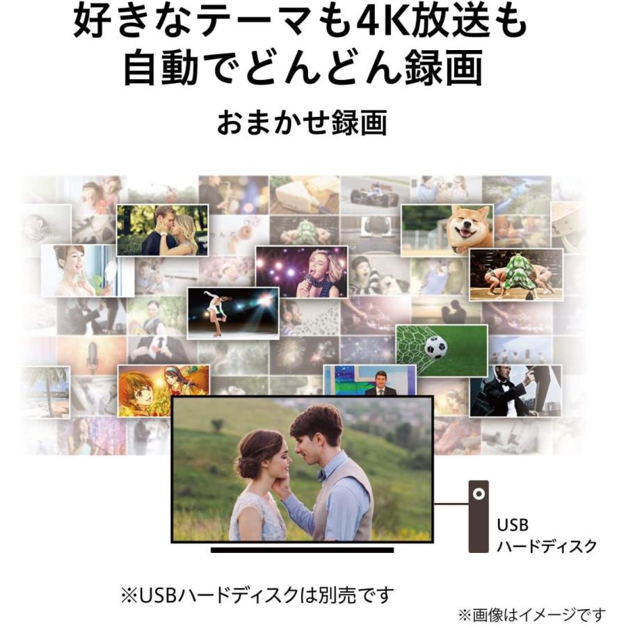 REGZA（レグザ） 東芝 43V型 液晶テレビ 43M530X 4Kチューナー内蔵 外