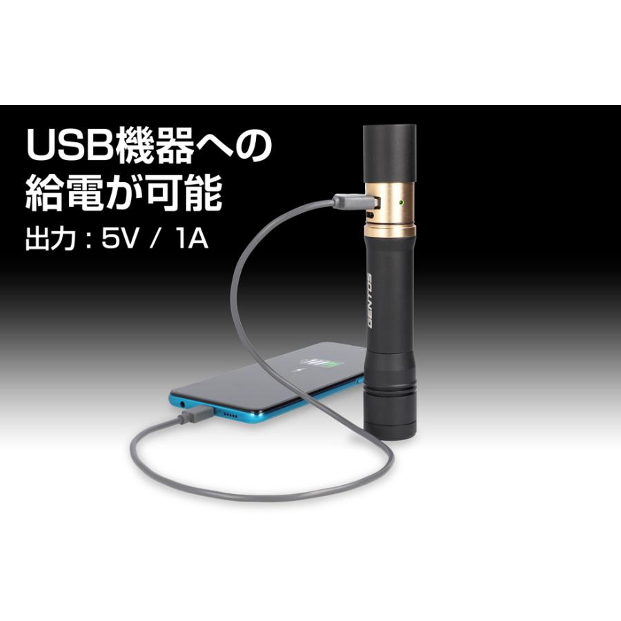 GENTOS（ジェントス） LED 懐中電灯 充電式(専用充電池・MicroUSB Type