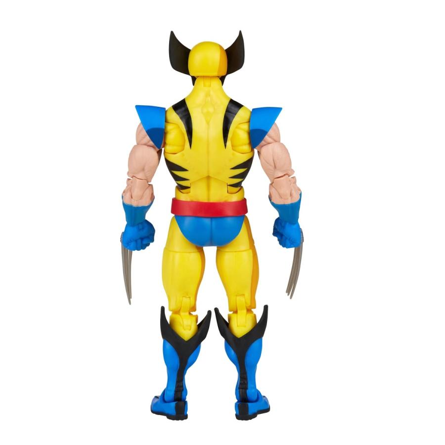 80 Off マーベルレジェンド X Men ウルヴァリン アニメイテッド Club Salud Com