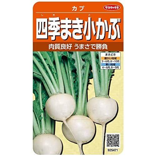 サカタのタネ 実咲野菜5471 四季まき小かぶ カブ 00925471