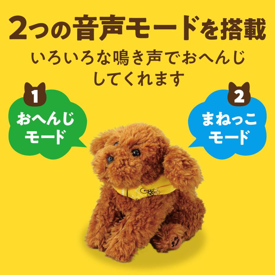 アーテック 音声認識 ぬいぐるみ おへんじアニマル トイプードル