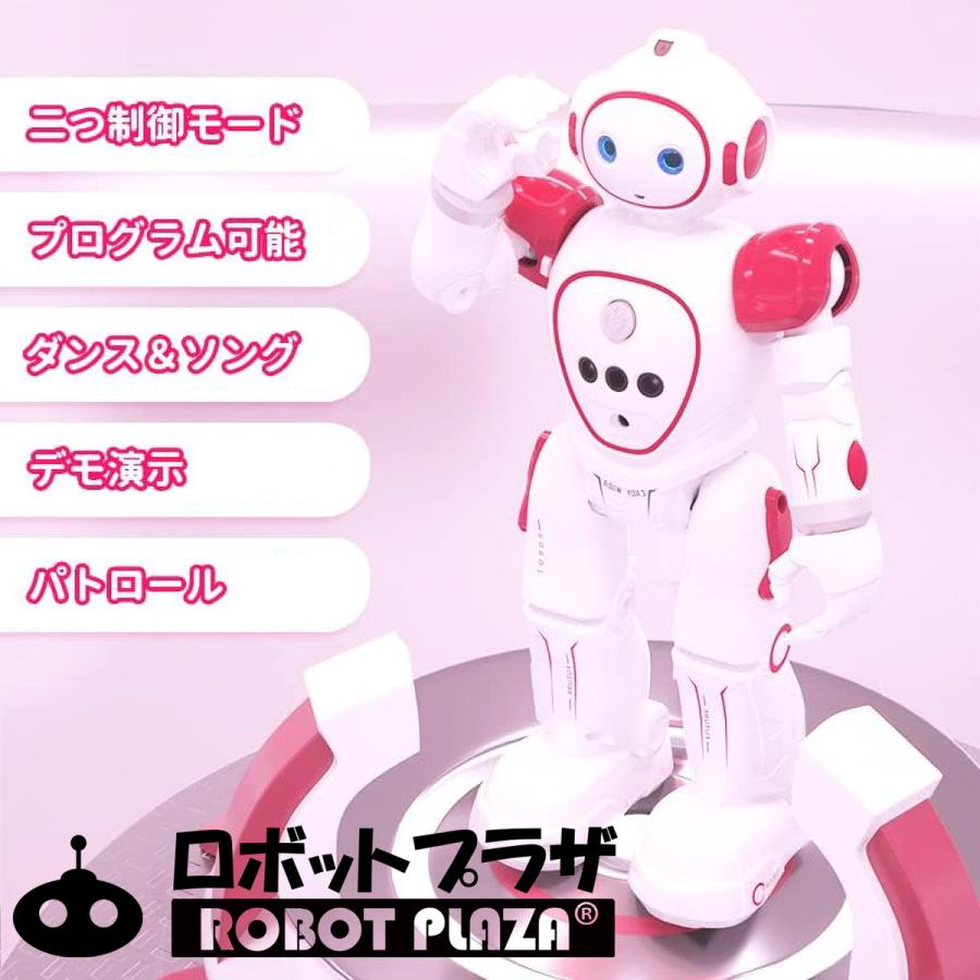 人型 ロボット おもちゃ 動く 英語話す 日本語説明書 プログラミング