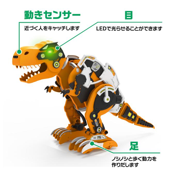 ロボレックス（Item No:MR-9128）【エレキット_ELEKIT】 : ロボット