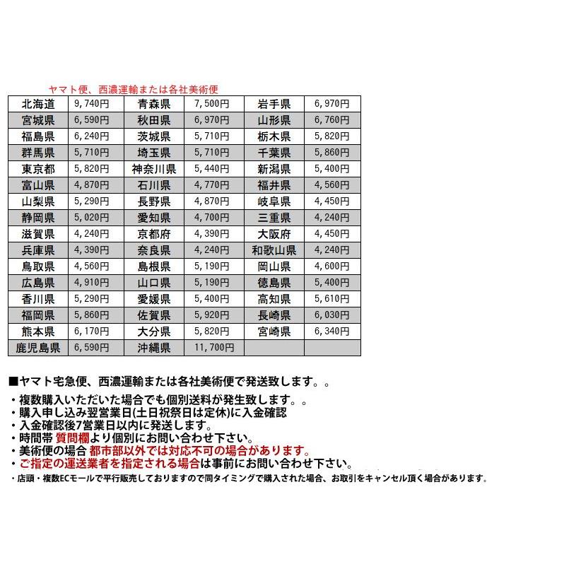 IZ77046F★英国 アンティーク ドア シャビーシック ステンドグラス 硝子 扉 アールデコ ペイント ウッドドア 玄関 内装 建具 ブロカント｜rocca-clann｜05