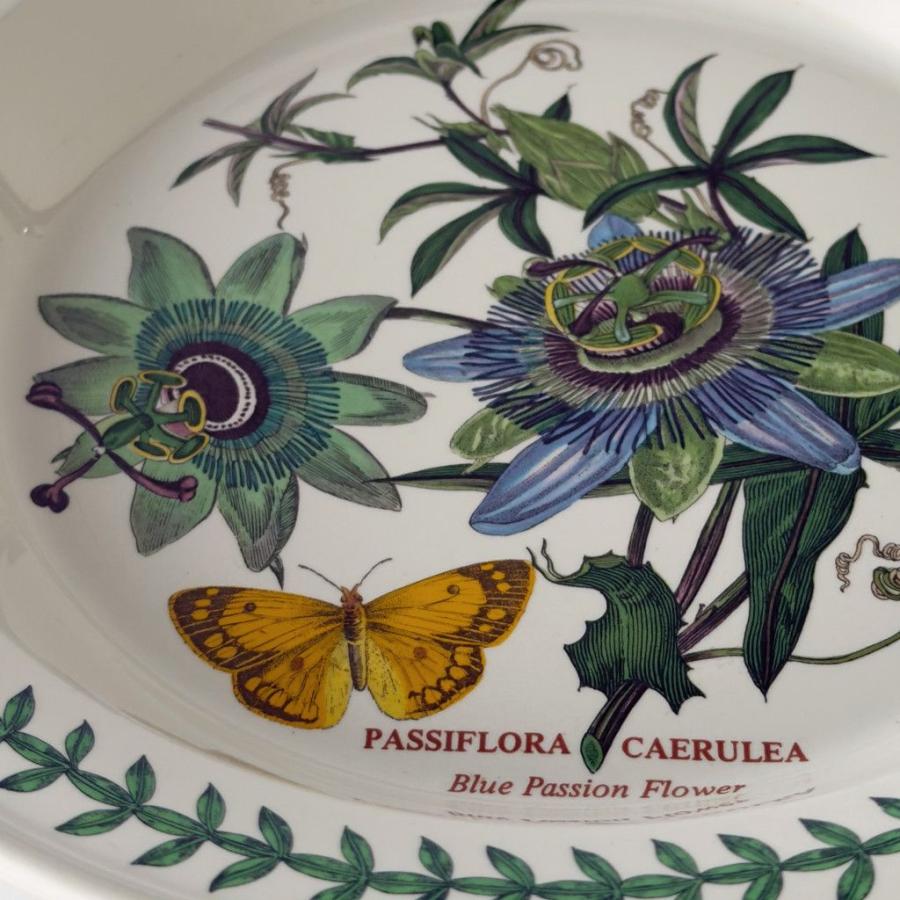 イギリス Portmeirion ボタニックガーデン ディナープレート 大皿 プレート ヴィンテージ パスタプレート 陶器 BOTANIC GARDEN 98171の画像