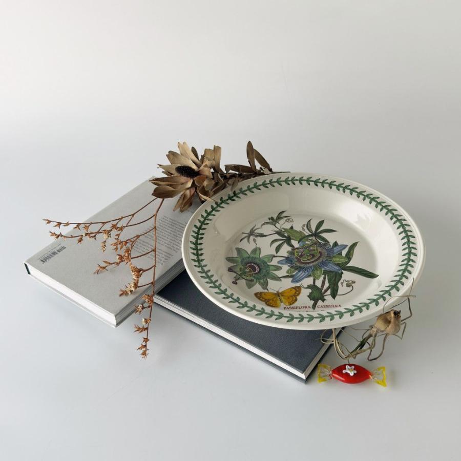 イギリス Portmeirion ボタニックガーデン ディナープレート 大皿 プレート ヴィンテージ パスタプレート 陶器 BOTANIC GARDEN 98171の画像