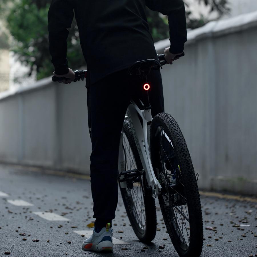 自転車 テールライト リア 自動 点灯 消灯 明るさ調整 ブレーキ警告 LED 防水 USB充電 ロックブロス｜rockbros｜20