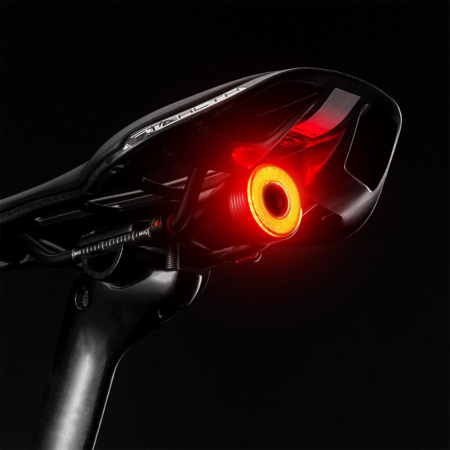 ROCKBROS 自転車 テールライト 自動 点灯 消灯 明るさ調整 ブレーキ
