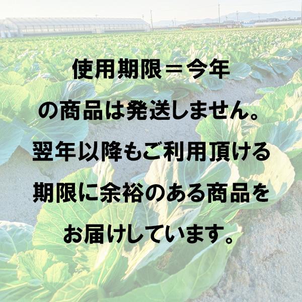【10個セット】 プレオフロアブル 500ml 殺虫剤 未成熟とうもろこし かぶ キャベツ だいこん はくさい