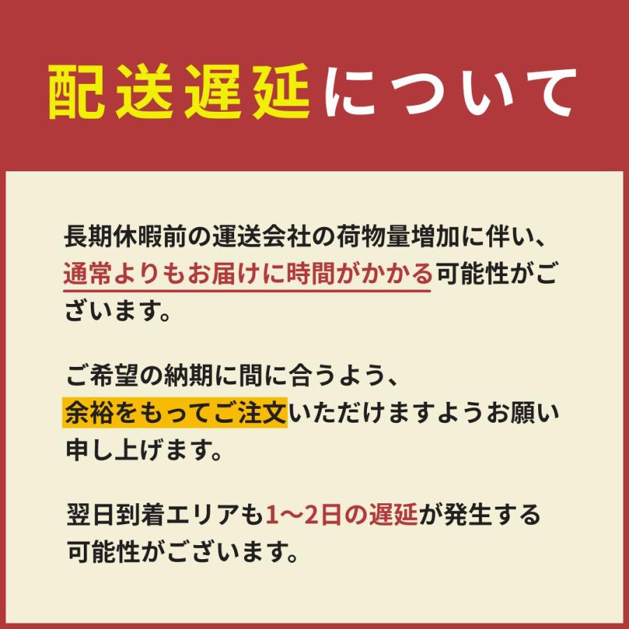エアビーム専用 制御盤 NCP13T かんたん時間制御 200V電源 24時間