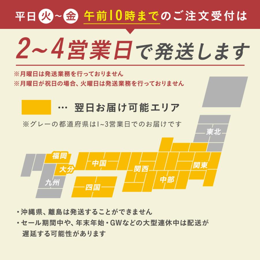 エアビーム専用 制御盤 NCP13T かんたん時間制御 200V電源 24時間