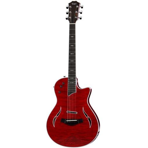 本日だけ値下げ】Taylor（テイラー）T5z Pro（T5z Standard Tobacco 