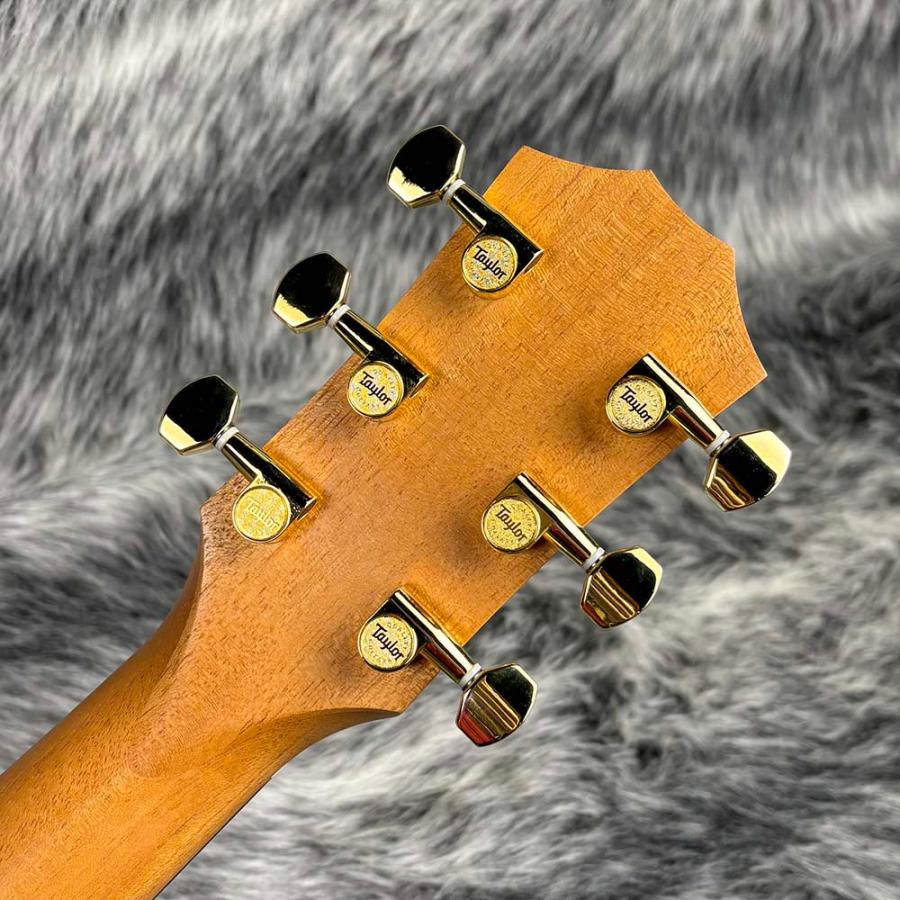 Taylor Taylor 50th Anniversary GS Mini-e Rosewood LTD : ロッキン