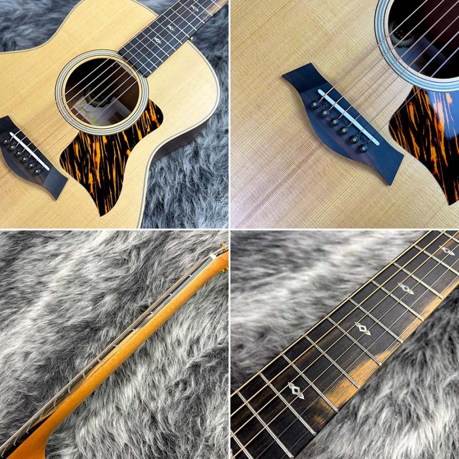 Taylor Taylor 50th Anniversary GS Mini-e Rosewood LTD : ロッキン