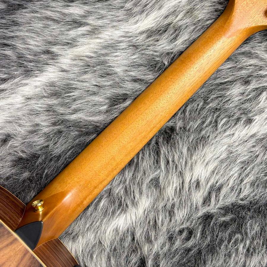 Taylor Taylor 50th Anniversary GS Mini-e Rosewood LTD : ロッキン