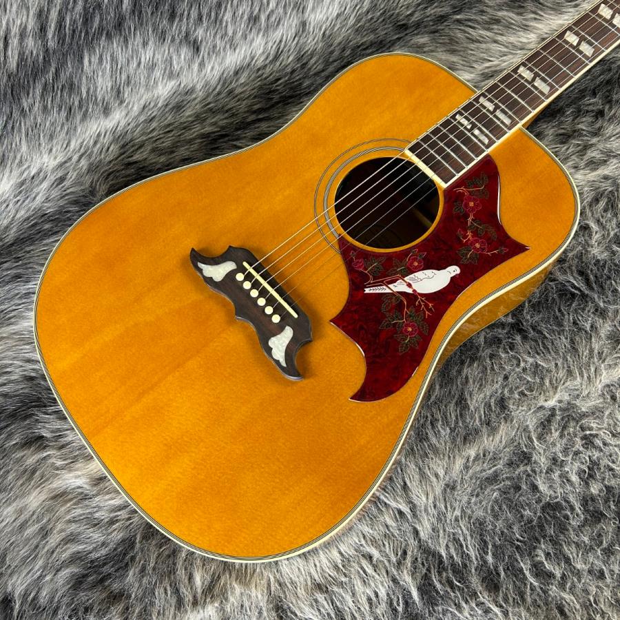 エピフォン DOVE-NA ギブソン直系エピフォンによるダヴ、「Epiphone Dove Studio