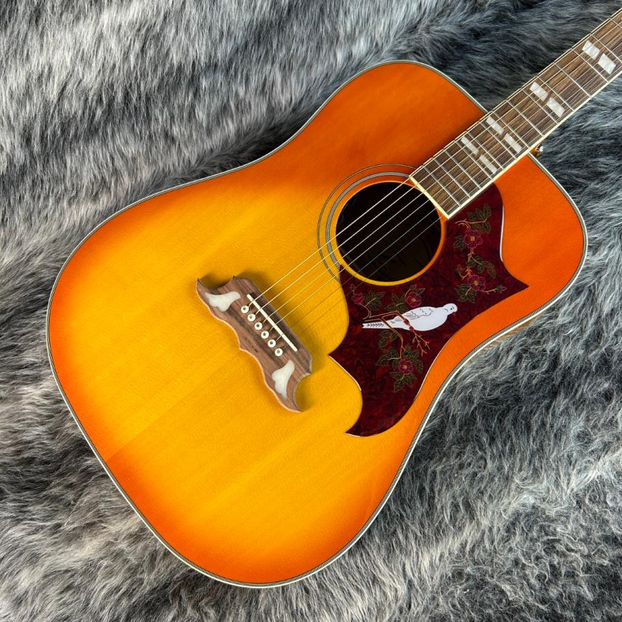 Epiphone（エピフォン） Epiphone Dove Studio Violin Burst