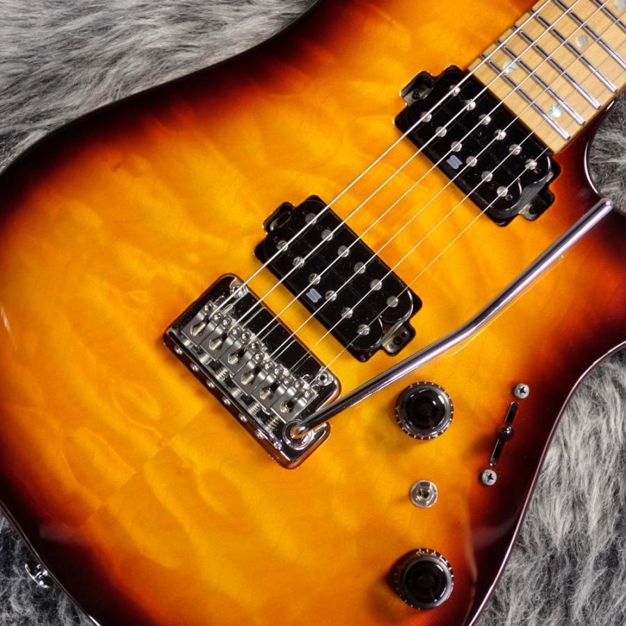 Ibanez（アイバニーズ） Ibanez AZ2402Q Regal Brown Burst : ロッキン