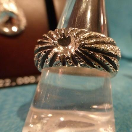 守護の神器（来光RM）