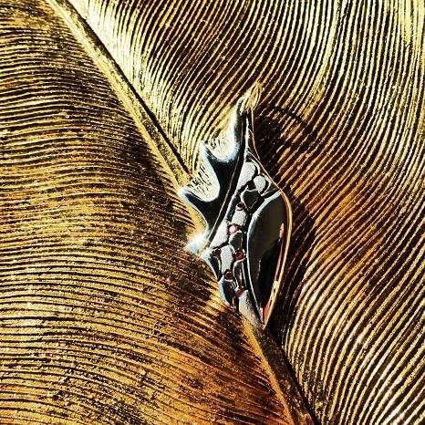 龍の心　~伝説のレッドドラゴン~ |  | 05