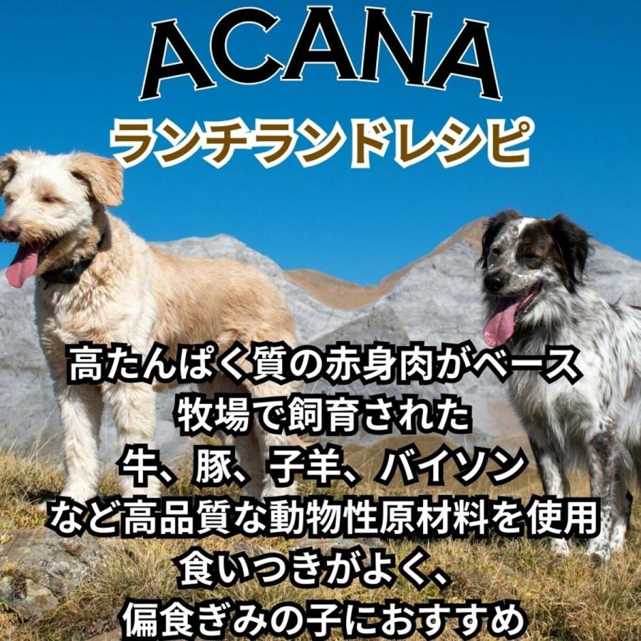 アカナacana ランチランド全犬種全年齢11.4kg 未開封 並行輸入品】 アカナ ランチランド レシピ 全犬種 全年齢用