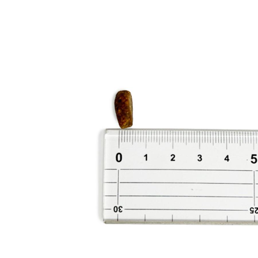 並行輸入品】 アカナ ランチランド レシピ 全犬種 全年齢用