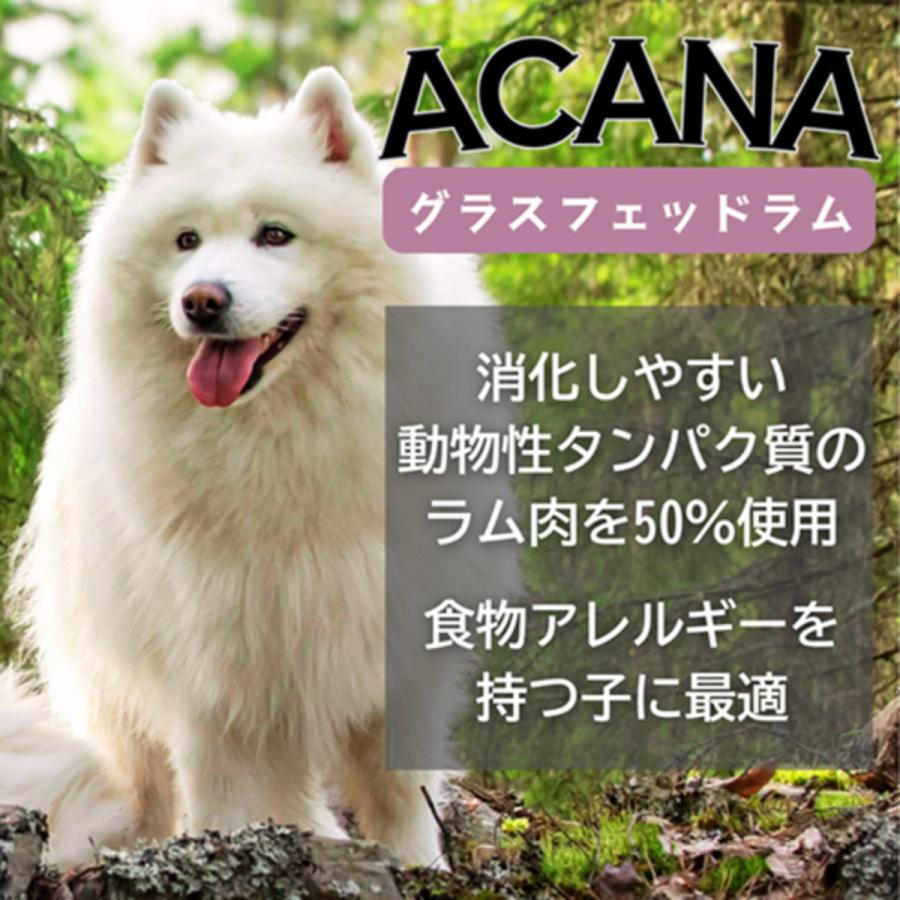 CANAGAN グラスフェッドラム ドッグフード✖️3袋 CANAGAN グラスフェッドラム ドッグフード✖️3袋