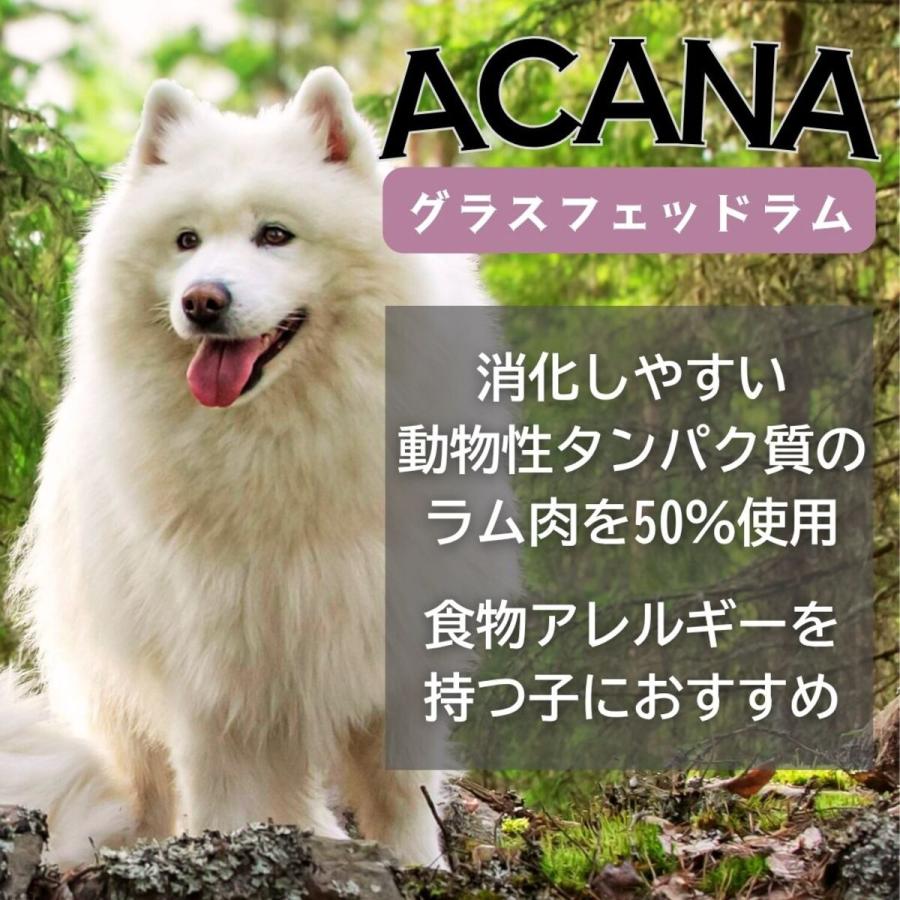 並行輸入品】 アカナ グラスフェッドラム レシピ 全犬種 全年齢用