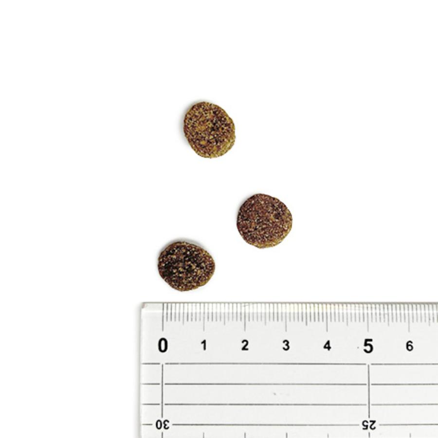 並行輸入品】 アカナ グラスフェッドラム レシピ 全犬種 全年齢用