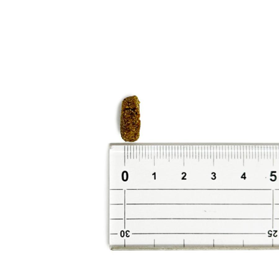 並行輸入品】 アカナ グラスフェッドラム レシピ 全犬種 全年齢用