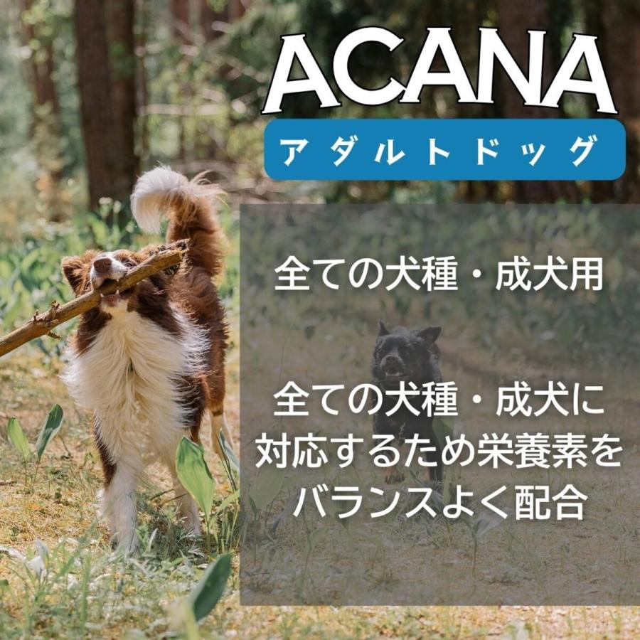 並行輸入品】 アカナ アダルト ドッグ レシピ 全犬種 成犬用 