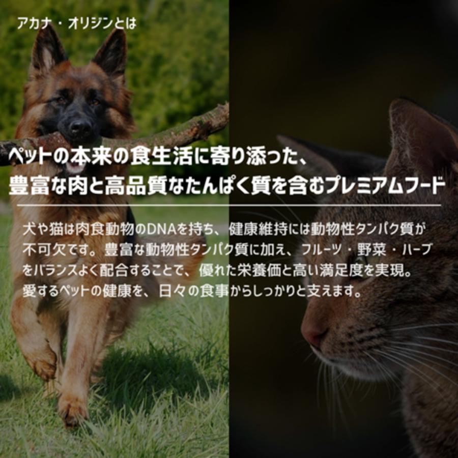 並行輸入品】 アカナ シニア レシピ 全犬種 シニア犬用 ドッグフード