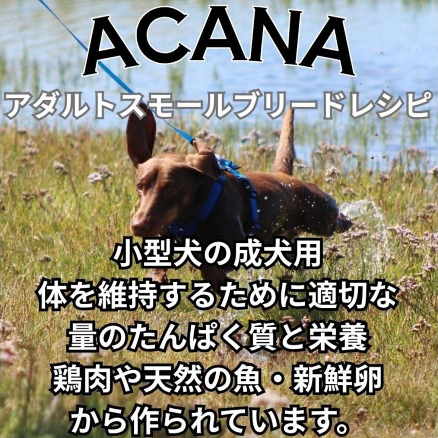 並行輸入品】 アカナ アダルト スモールブリード レシピ 小型犬