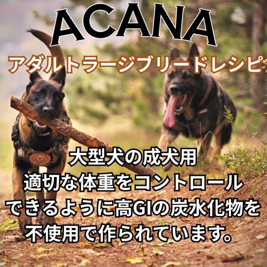 並行輸入品】 アカナ アダルトラージブリード レシピ 大型犬 成犬用