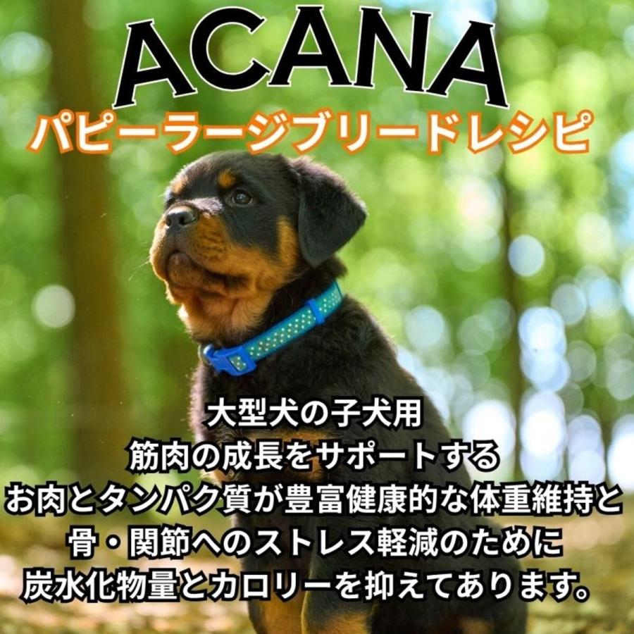 ACANA（アカナ）パピーラージブリード　17キロ 楽天市場】アカナ パピーラージブリードレシピ 17kg (正規品