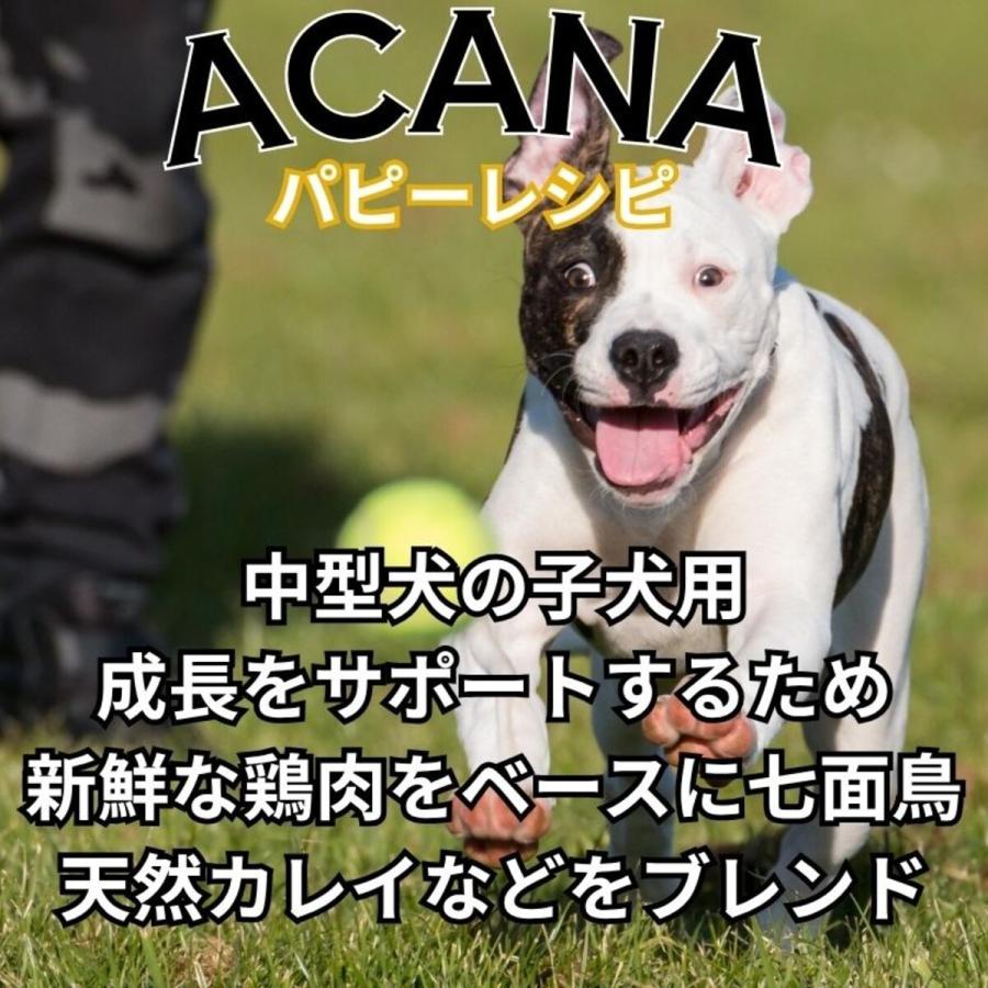 並行輸入品】 アカナ パピー レシピ 全犬種 子犬用 ドッグフード 11.4